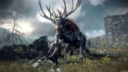  3:   / The Witcher 3: Wild Hunt (2015/RUS/Multi12/RePack by SpaceX)