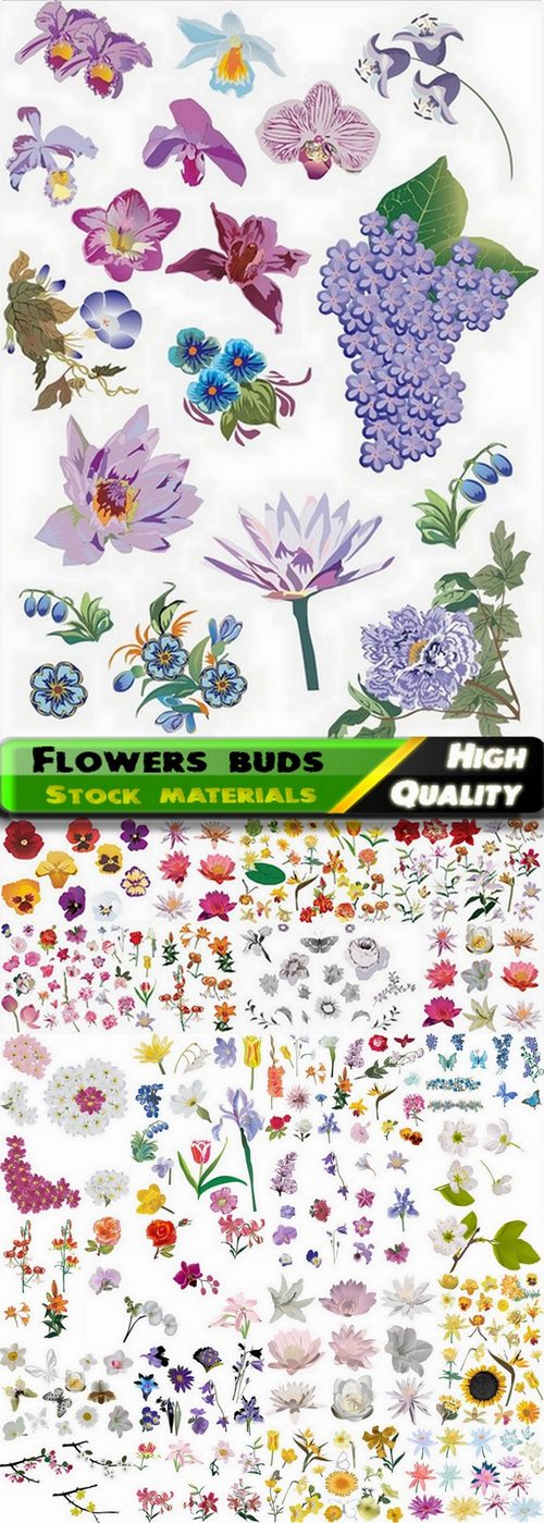 Set of different flowers buds with butterflies - 25 Eps
