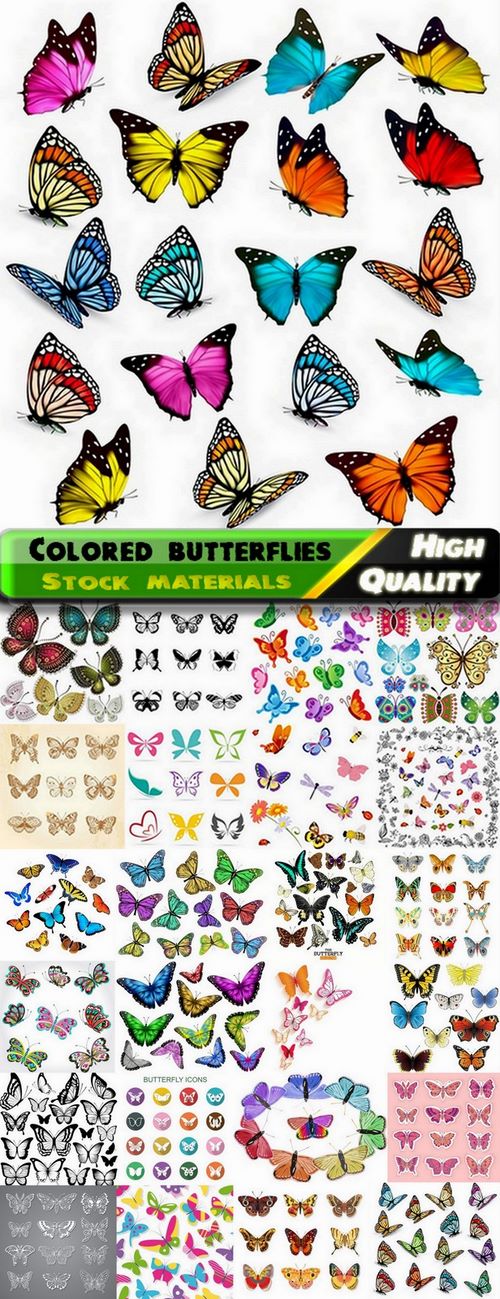 Colored butterflies with different patterns on the wings - 25 Eps
