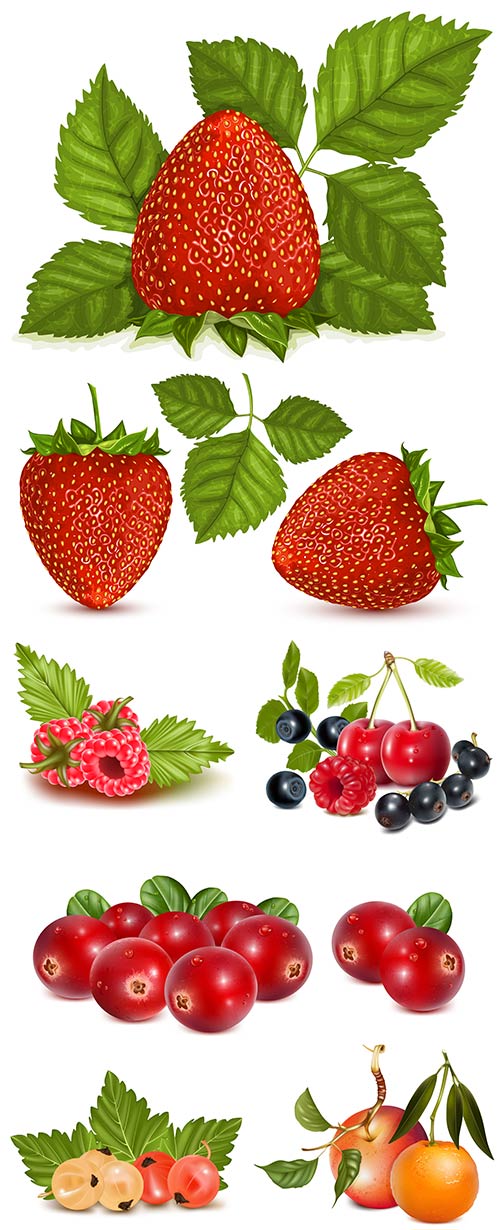 Realistic Berries and Fruit 2