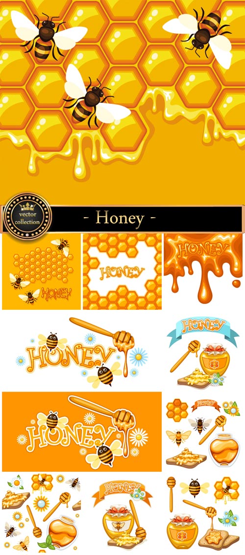 Honey and bee vector backgrounds