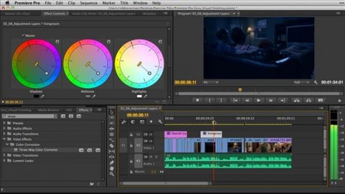 Lynda - Premiere Pro Guru: Video Finishing Techniques 2014 TUTORiAL