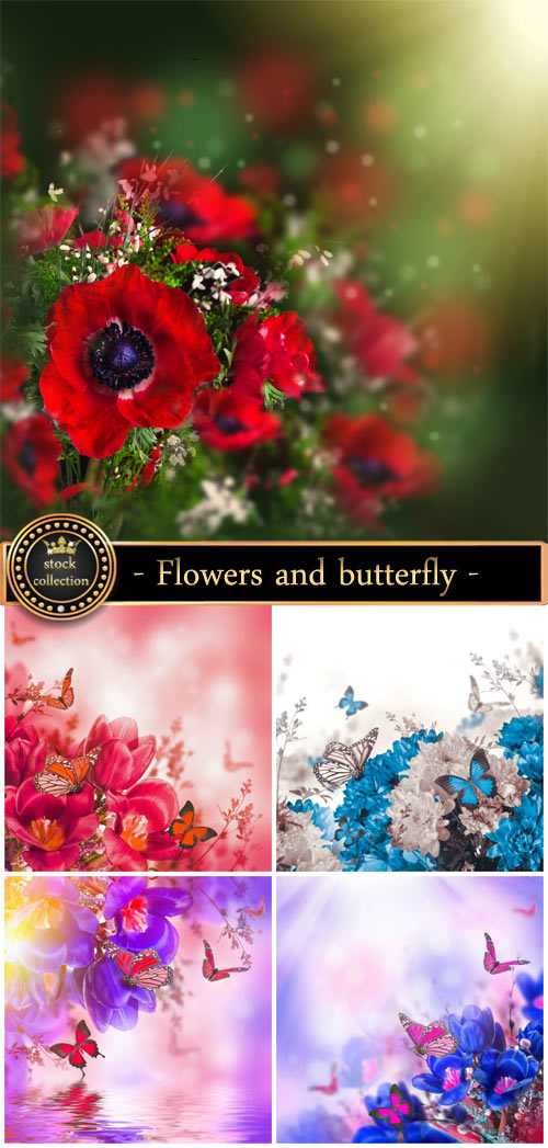 Flowers and butterfly - stock photos
