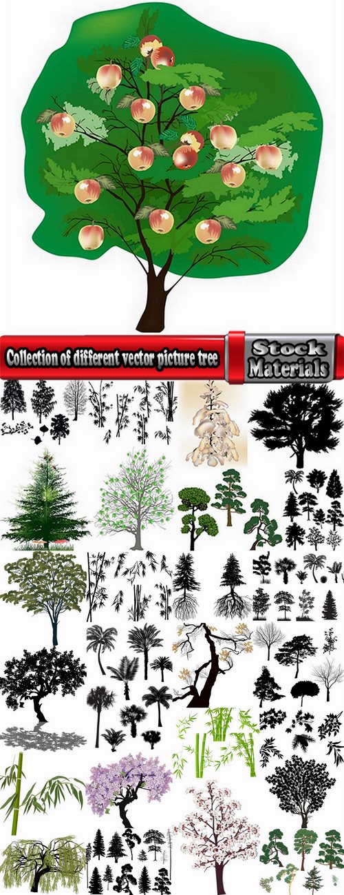 Collection of different vector picture tree root silhouette spruce bamboo 25 Eps
