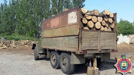 В Донецкой области чиновники украли леса на миллионы гривен (фото)