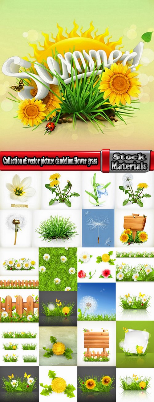 Collection of vector picture dandelion flower grass seed plant 25 Eps