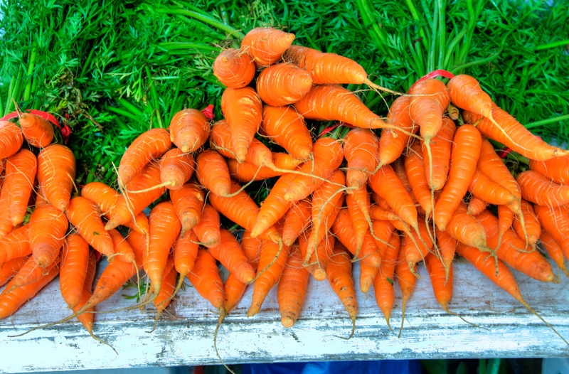 Как на 2,4 м² получить урожай моркови, которого хватит до следующего сезона (ВИДЕО)