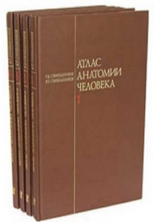Синельников Р.Д. - Атлас анатомии человека. В 4-х томах