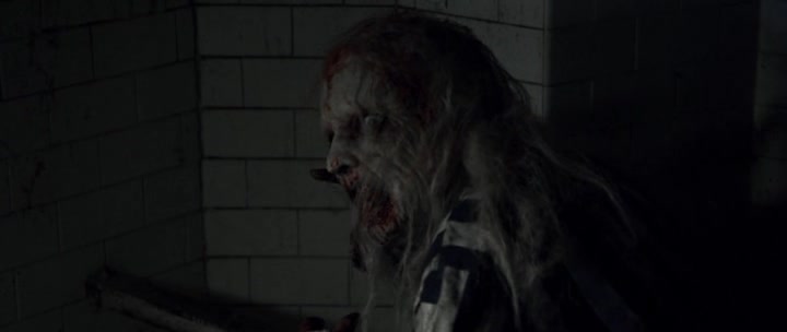   2:  ̸ / Zombie Massacre 2: Reich of the Dead (2015/RUS/ENG) HDRip