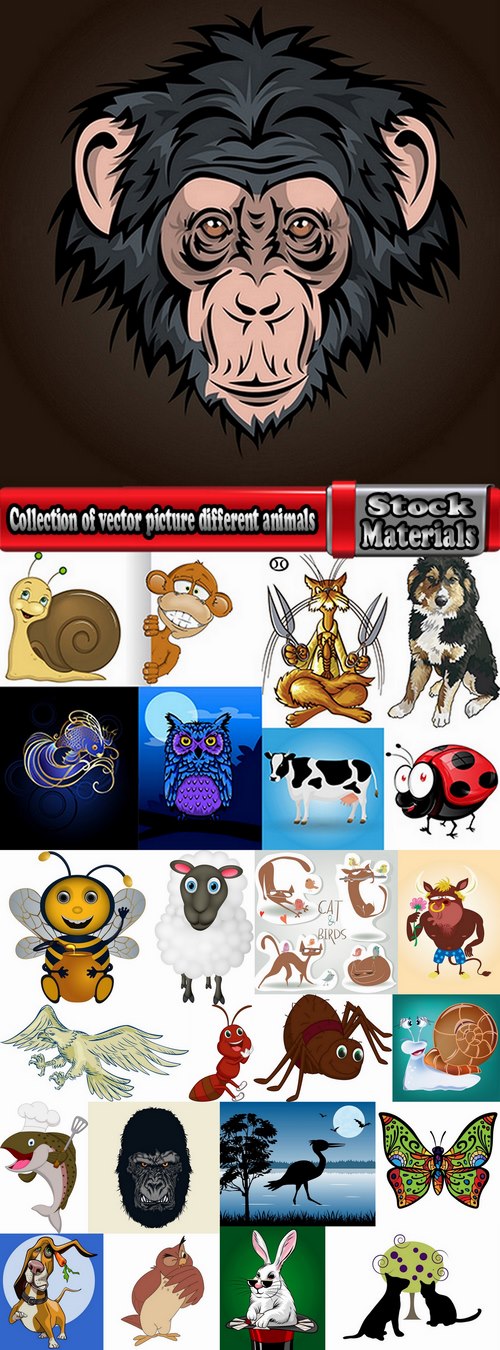 Collection of vector picture different animals 25 EPS