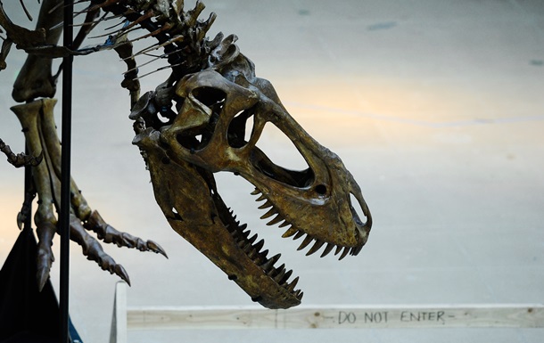 Останки динозавров в Испании изменили взгляды ученых на древнюю экосистему