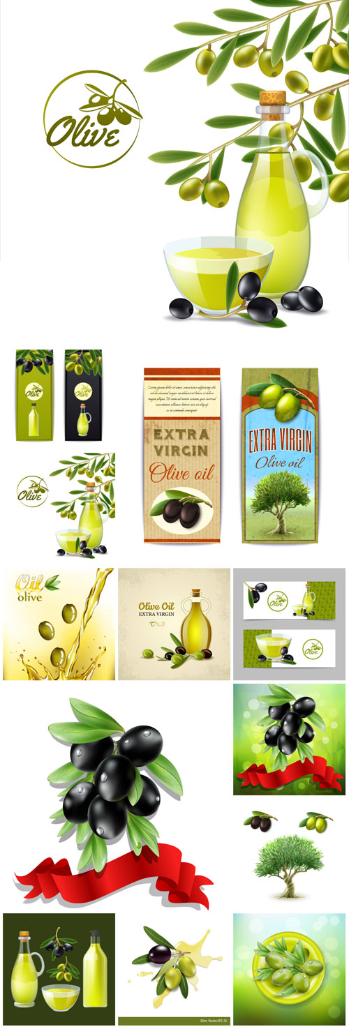 Olives and olive oil, backgrounds vector
