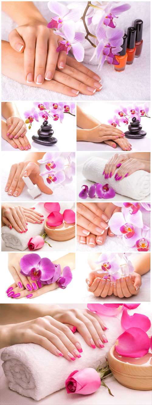 Women's manicured hands and orchids - Stock photo