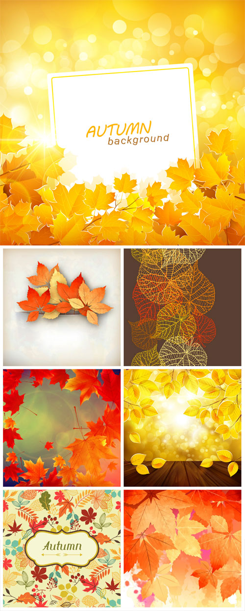 Vector autumn background with colored leaves