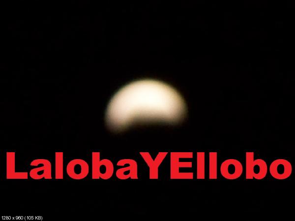 LalobaYEllobo: Eclipse, la loba chupa mi cola 2°.