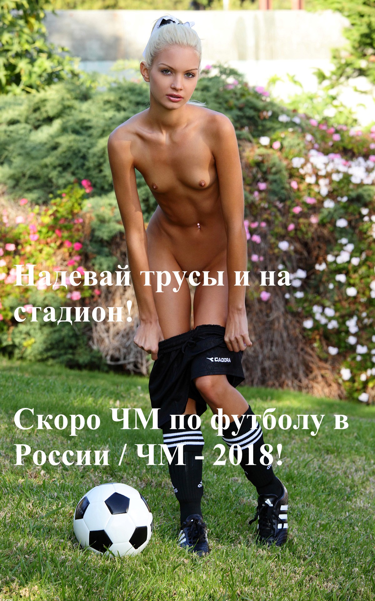 http://i72.fastpic.ru/big/2015/0603/75/113d405d3b593a1e7a9fb4e7f3ba8775.jpg